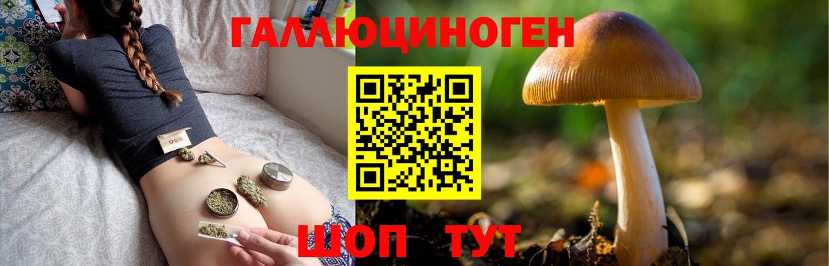 Псилоцибиновые грибы MAGIC MUSHROOMS  Псилоцибиновые грибы мицелий  Реутов  Вход с VPN 